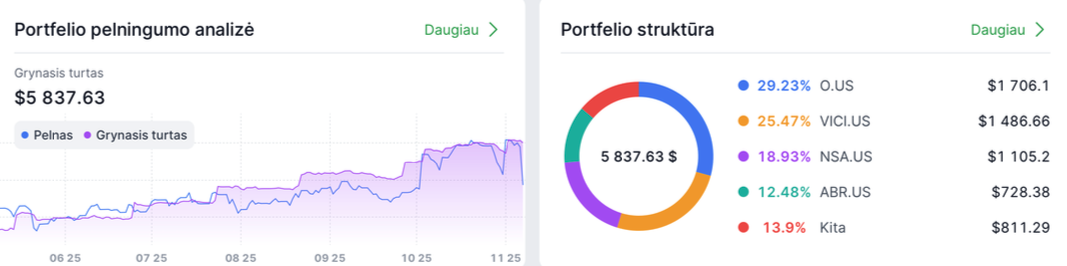investicinis-portfelis-pavyzdys-justina