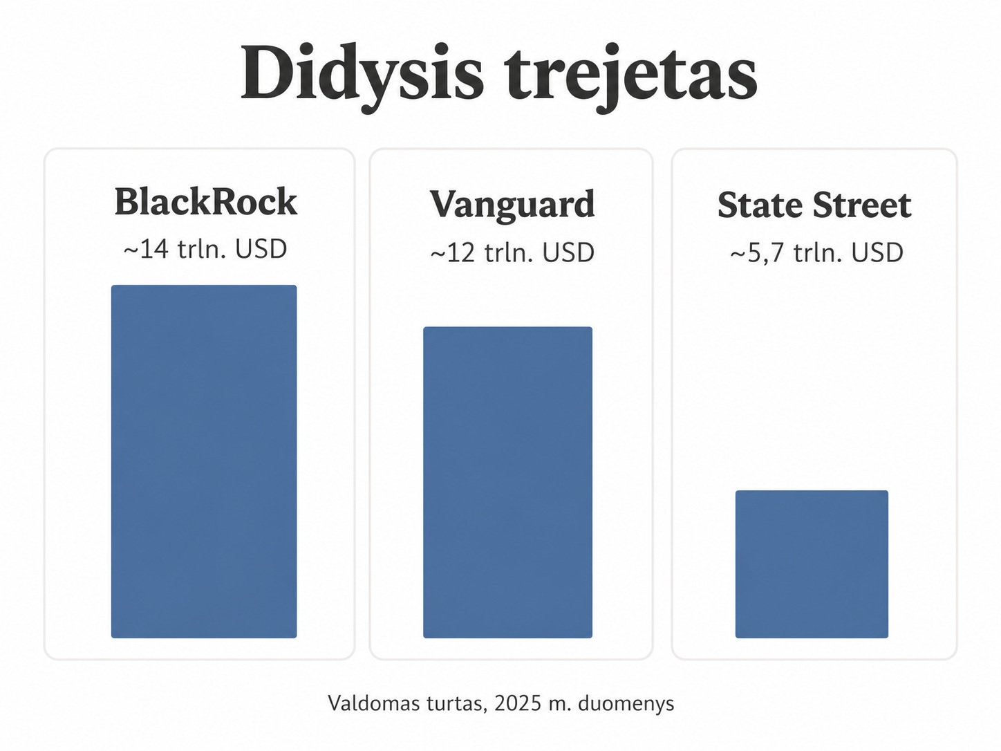 „BlackRock“, „Vanguard“ ir „State Street“ valdomo turto palyginimas 2025 m.: atitinkamai apie 14, 12 ir 5,7 trln. JAV dolerių.